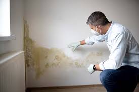 Mold Remediation for Vacation Homes in Bloomington, TX